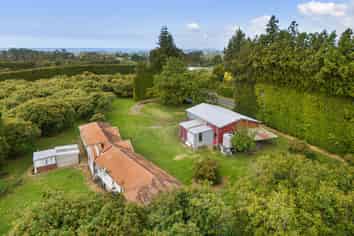 232 Wharawhara Road, Aongatete