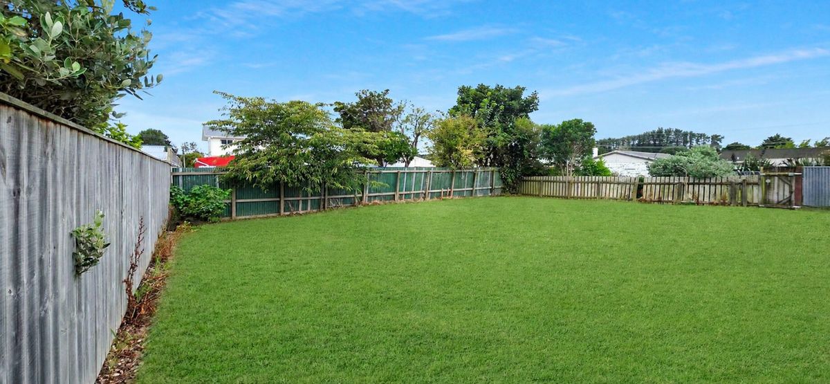 Build, landbank or park - the choice is yours