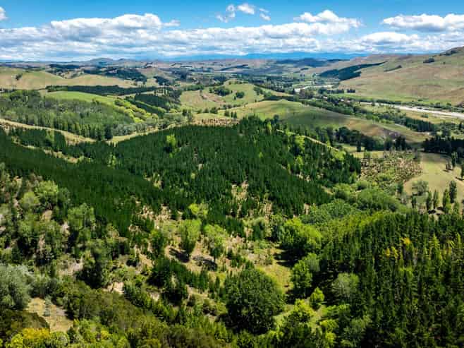 Lot 2, DP 524856, Raratu Road, Kahuranaki