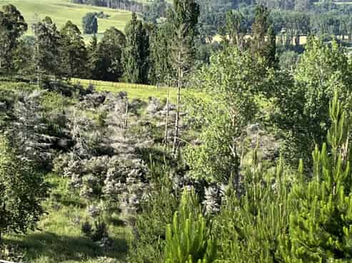 Lot 2, DP 524856, Raratu Road, Kahuranaki