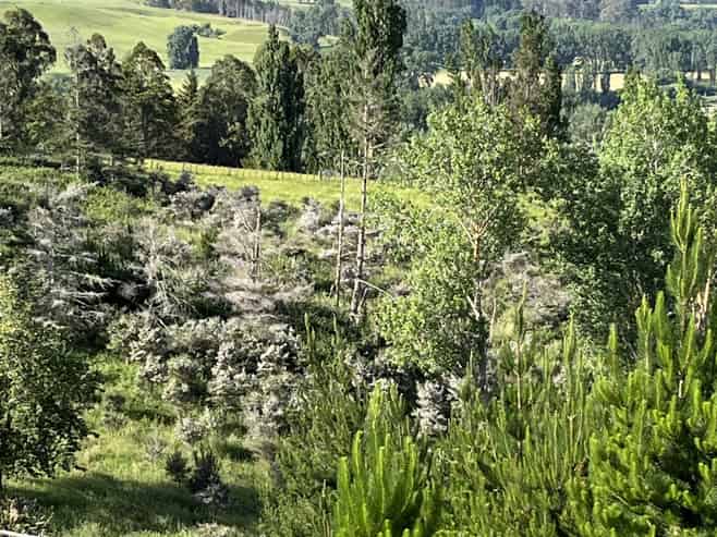 Lot 2, DP 524856, Raratu Road, Kahuranaki