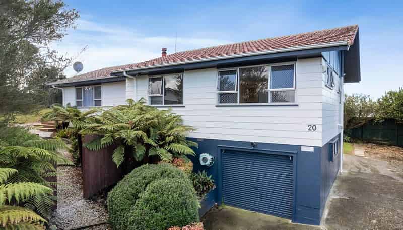 20  Newham Place, Henderson