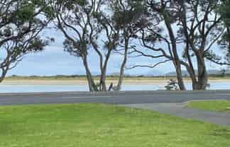 1/2043 Ngunguru Road, Ngunguru