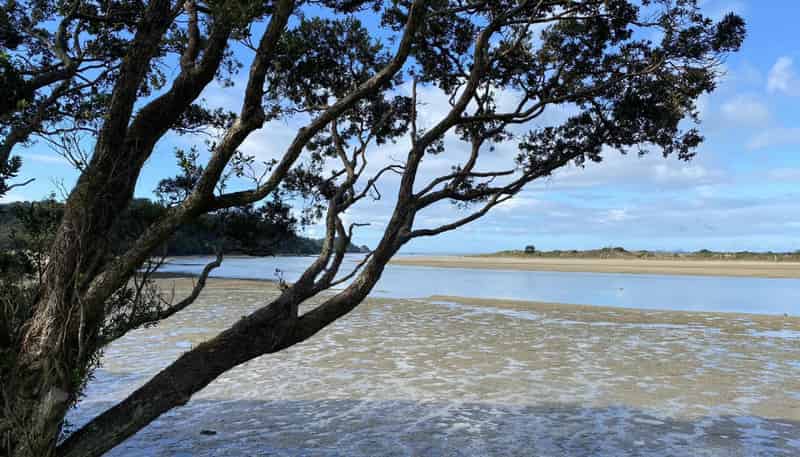 1/2043 Ngunguru Road, Ngunguru