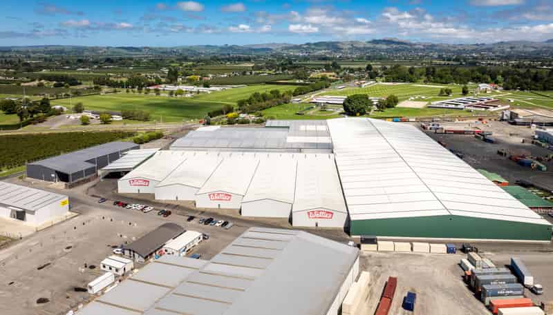 113 Elwood Road, Tomoana