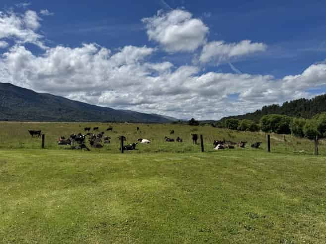 410 Maimai Road, REEFTON