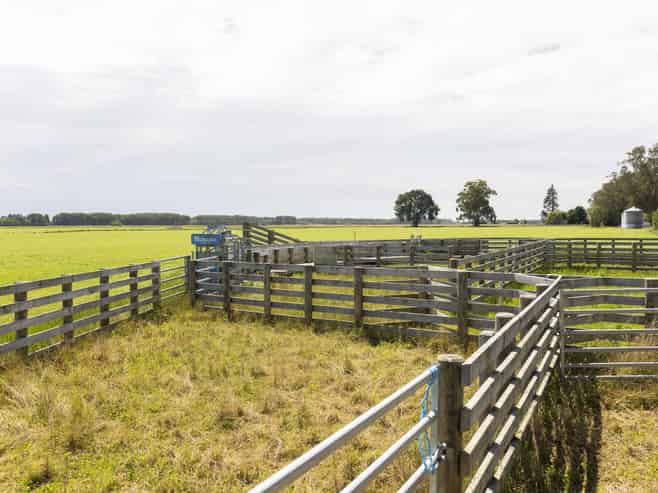 308 Arowhenua Road, Timaru