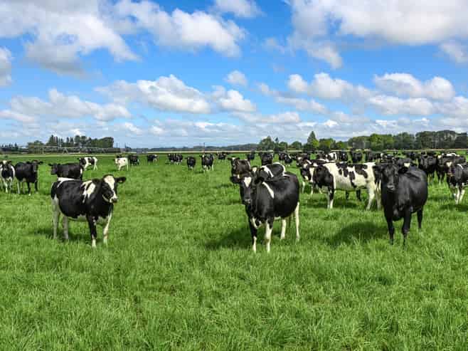 77 Arowhenua Station Road, Timaru