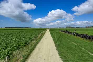 77 Arowhenua Station Road, Timaru