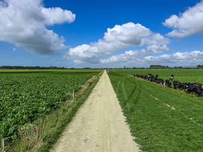 77 Arowhenua Station Road, Timaru