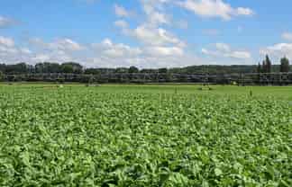 77 Arowhenua Station Road, Timaru