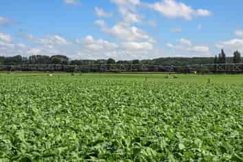 77 Arowhenua Station Road, Timaru