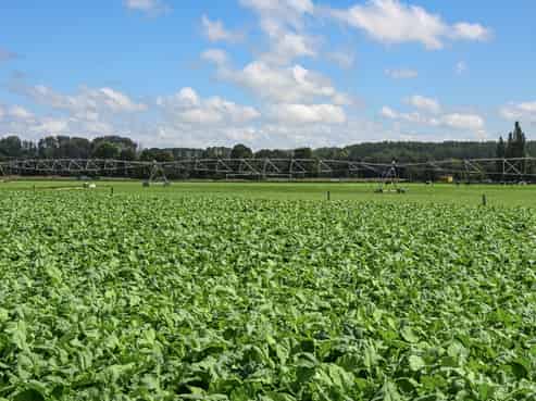 77 Arowhenua Station Road, Levels