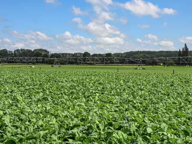 77 Arowhenua Station Road, Timaru