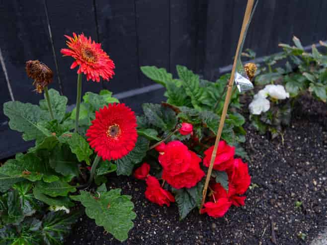 9 Samuel Place, Terrace End