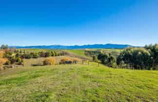 41 Harley Ridge, Tasman