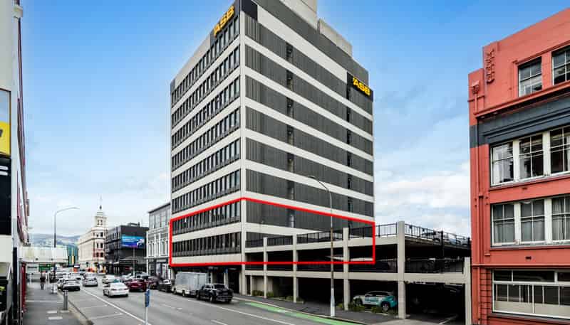 248 Cumberland Street, Dunedin Central