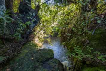 659 Backriver Road, Peria