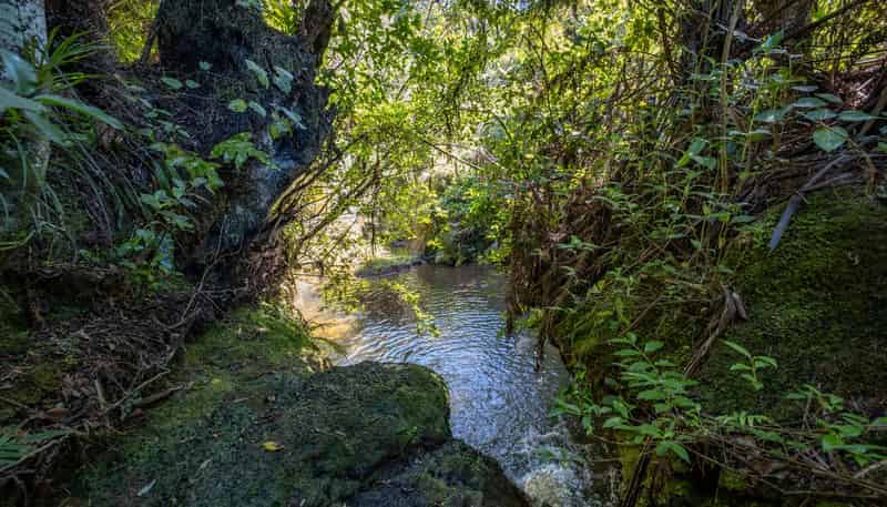 659 Backriver Road, Peria