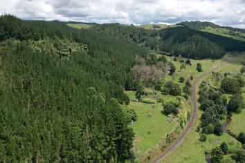 00 State Highway 30, Kopaki