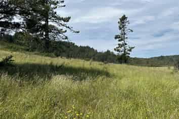 1419 Collingwood-Bainham Main Road, Collingwood