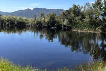 1419 Collingwood-Bainham Main Road, Collingwood