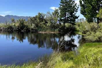 1419 Collingwood-Bainham Main Road, Collingwood