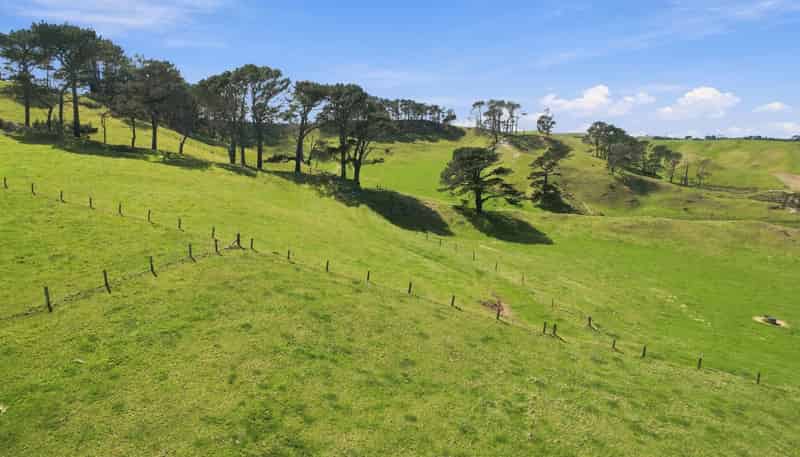  Mount Wesley Coast Road, Dargaville