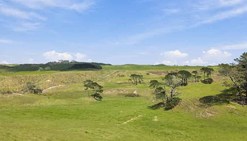  Mount Wesley Coast Road, Dargaville