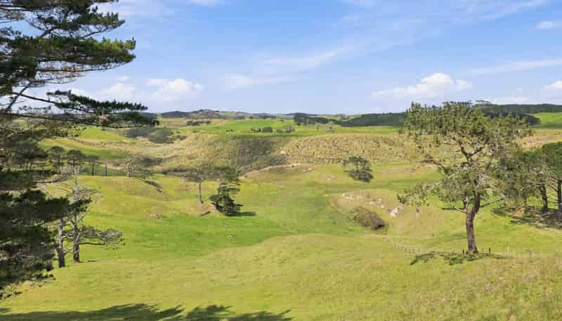  Mount Wesley Coast Road, Dargaville