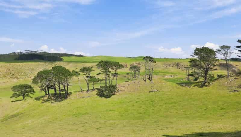  Mount Wesley Coast Road, Dargaville