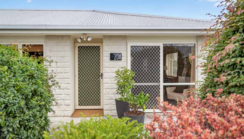 20A Wrigley Street, Masterton