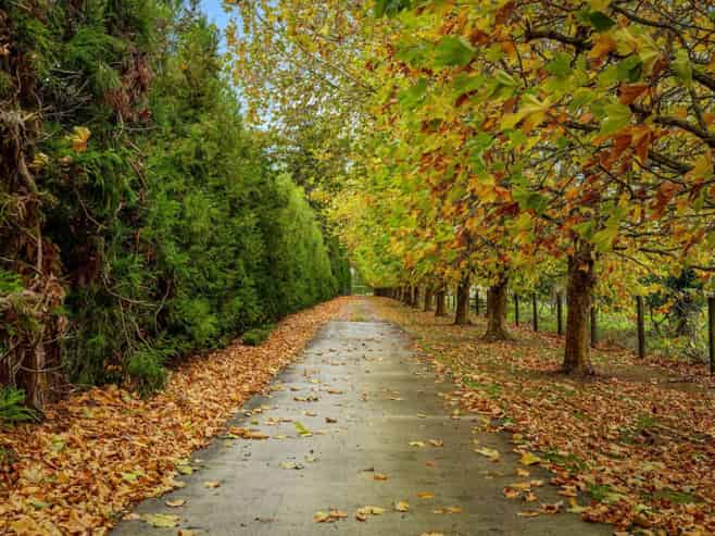 109 Old Railway Road, Riverhead