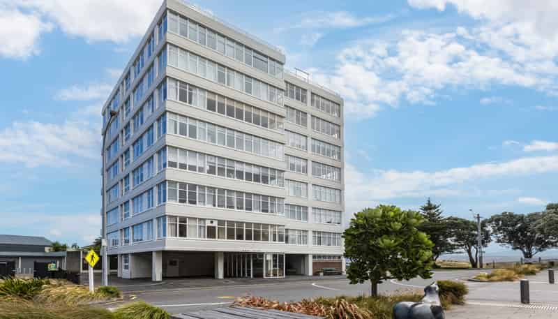 4B 33 Rimu Street, Eastbourne