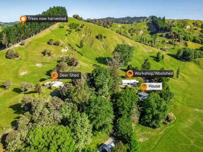 156 Bond Road, Ormond