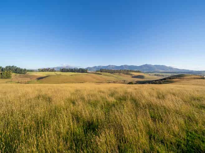 208 Wilderness Road, Te Anau