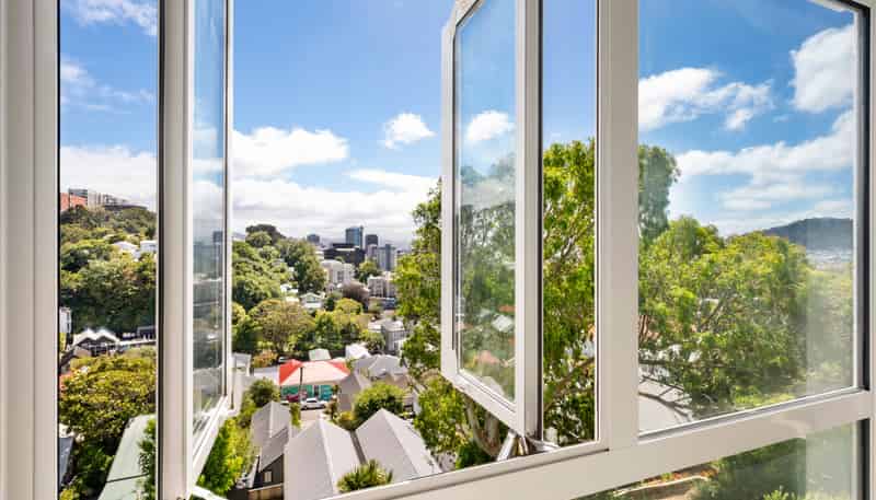 3D/20 Maarama Crescent, Aro Valley
