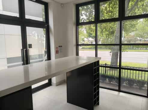 Professional Profile