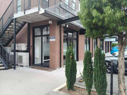 Professional Profile