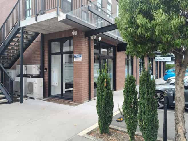 Professional Profile