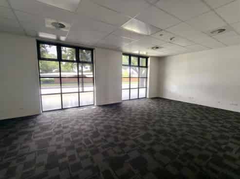 Professional Profile