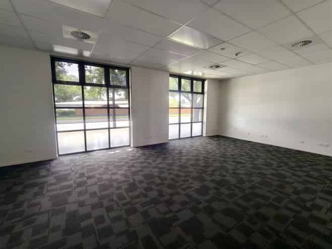 Professional Profile