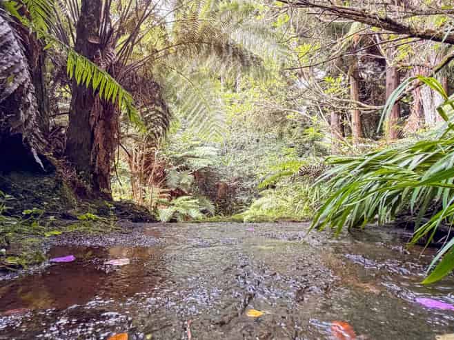 60 Victoria Street, Waikino, Waihi