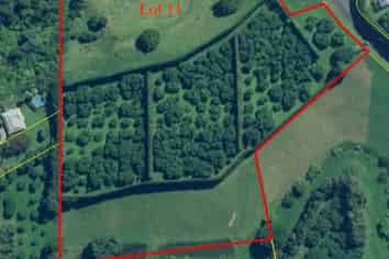 11/ Timon Drive, Katikati