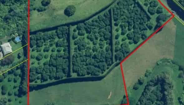 11/ Timon Drive, Katikati