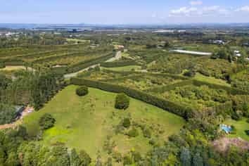 11/ Timon Drive, Katikati