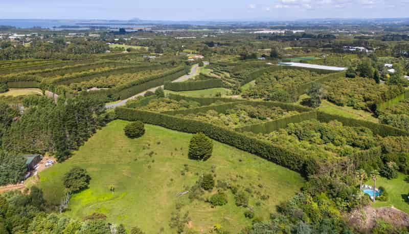 11/ Timon Drive, Katikati