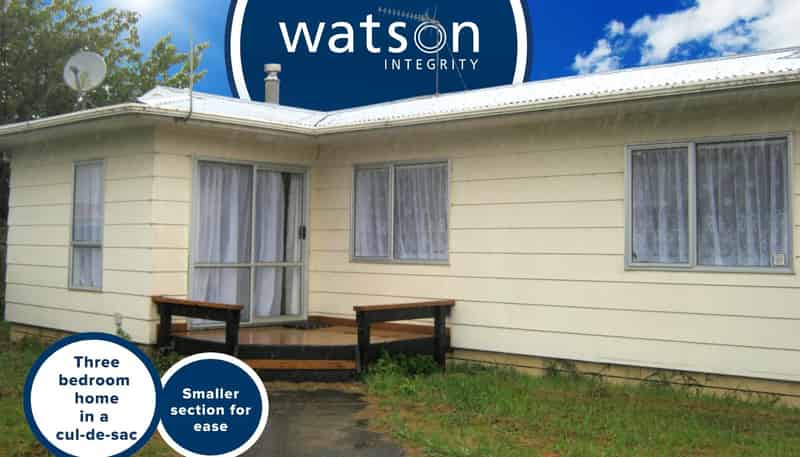 20 Guy Avenue, Levin