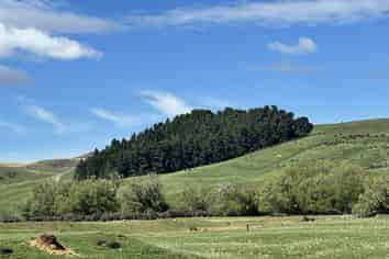  Prestons Road, Kyeburn