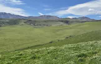  Prestons Road, Kyeburn